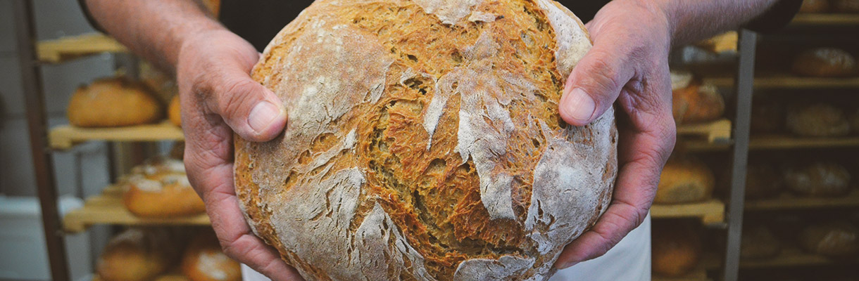 Bäcker hält ein frisch gebackenes, rustikales Laib Brot vor dem Brotregal